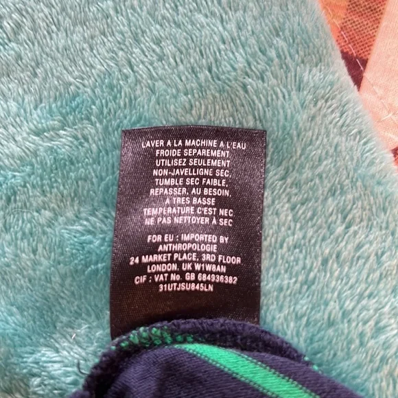 Striped shell - Picture 7 of 7